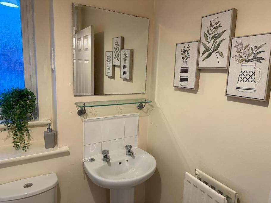 Bilborough House - Cosy Place Suitable For Families And Business Travellers Furnitures, Free Wifi And Free Parking Casa de férias *