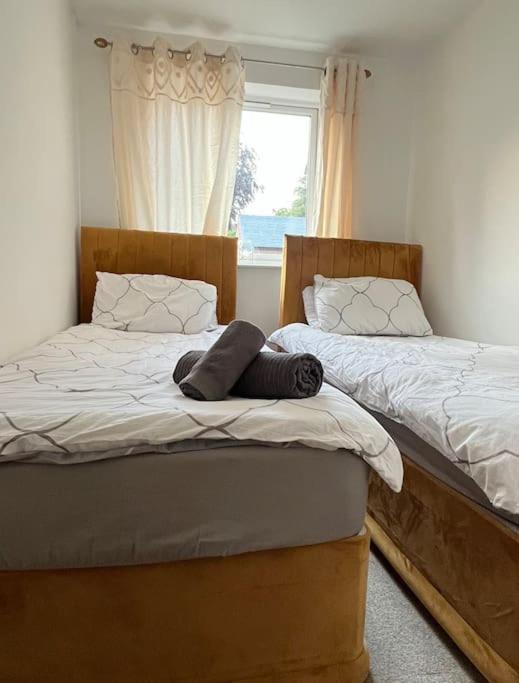 Cozy 2bed W/ Parking
