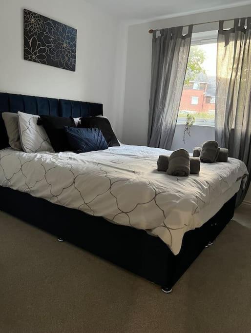 Cozy 2bed W/ Parking