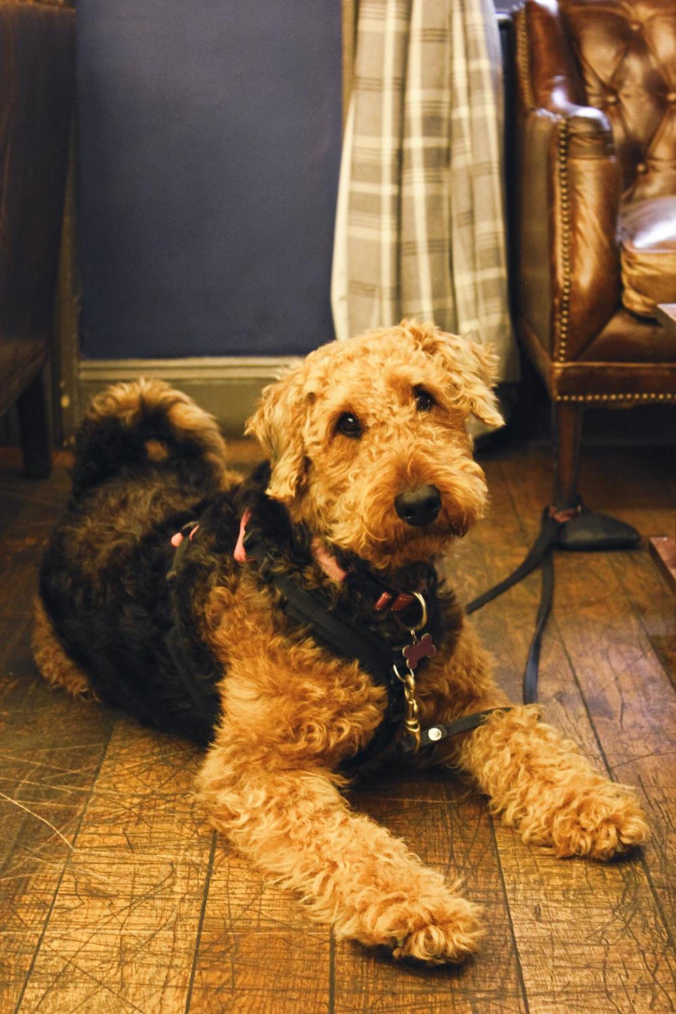 Hotel The Kings Arms
