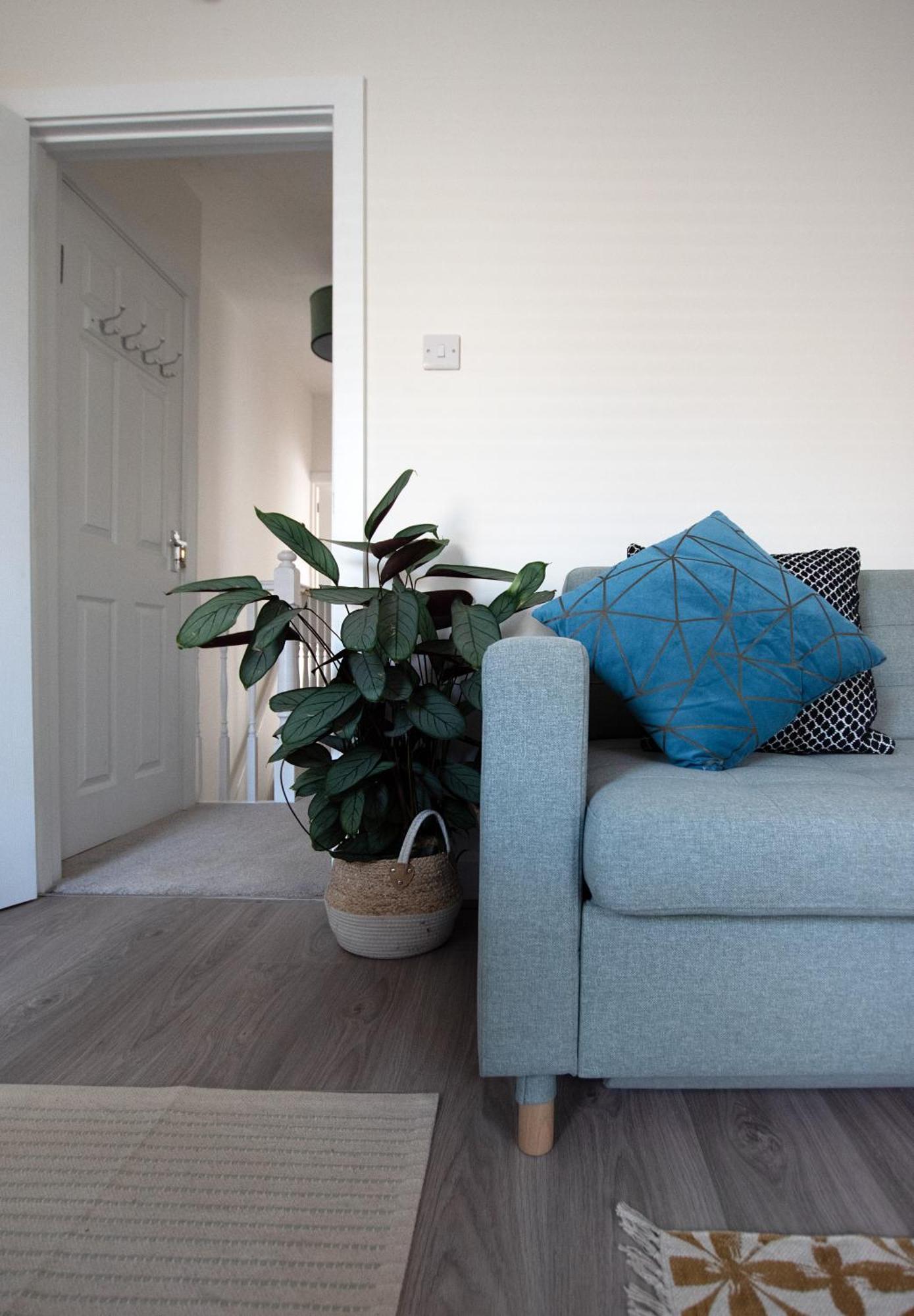 Homely With Free Parking Apartment
