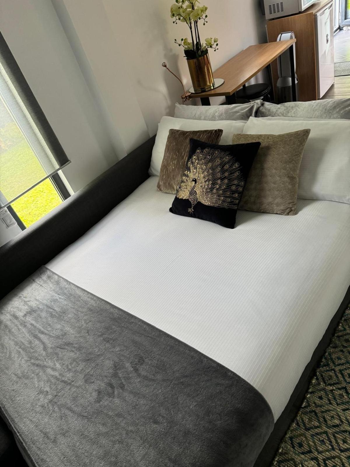 Modern In Peaceful Area *