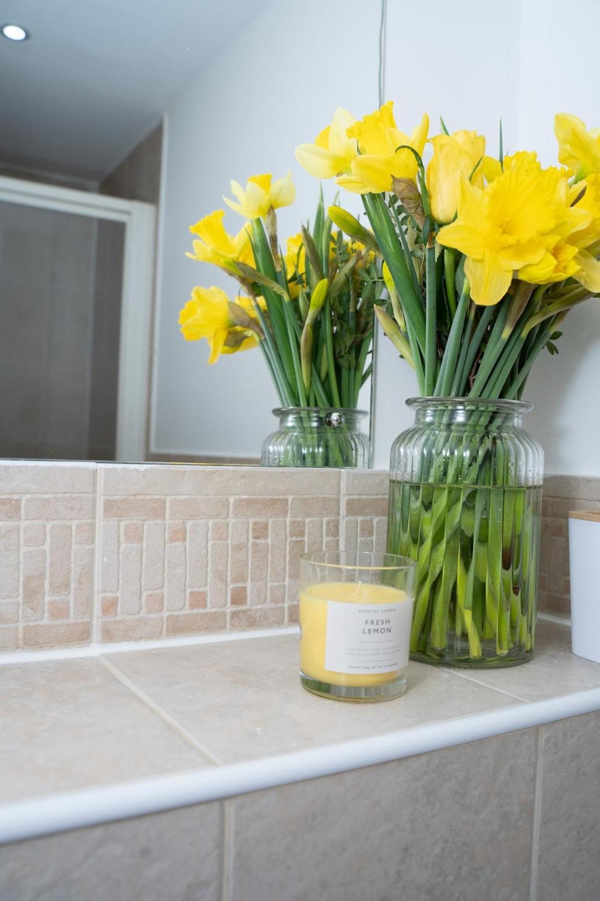 Yellow Haven Spacious Quiet Free Parking Sleeps 7 Apartment