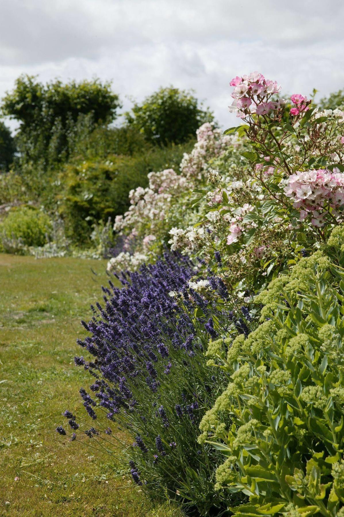 Bed & Breakfast Overtown Manor Swindon