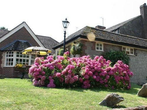 The Village 3*