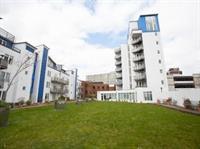 Hamilton Grace - Plaza * Swindon